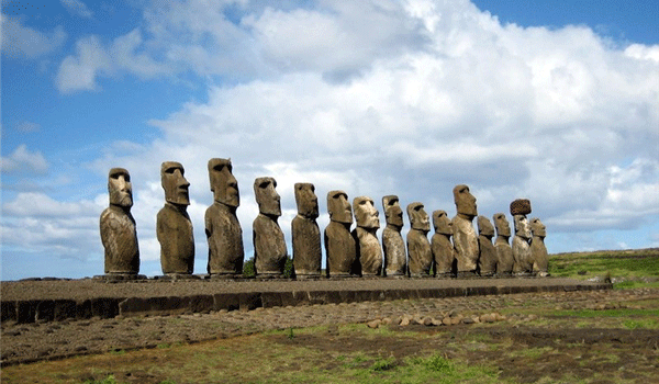 �D�lһ�l���ܽ�ĺ���Ϣ��